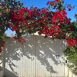 Christina's Homely Escapes Sikion