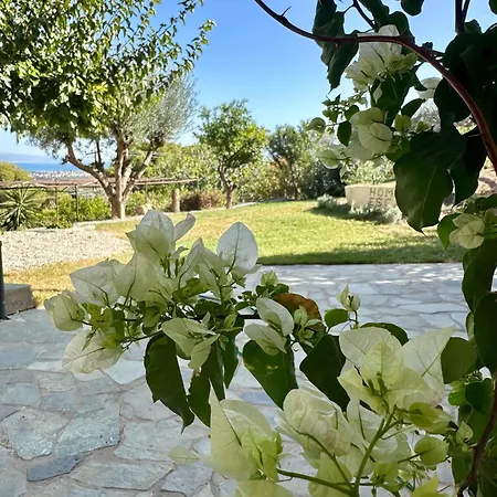 Christina's Homely Escapes