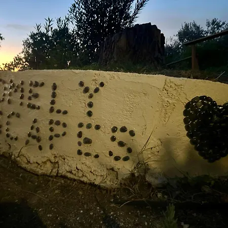 Christina's Homely Escapes