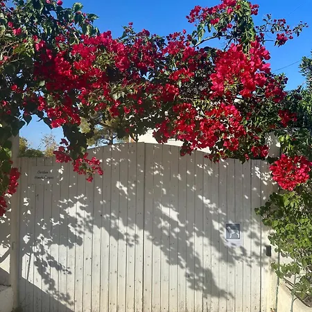 Christina's Homely Escapes Sikion