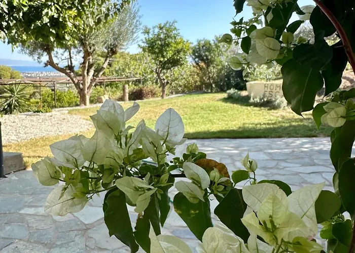 Christina's Homely Escapes